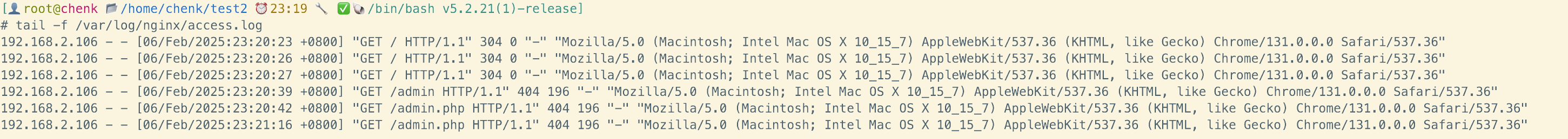 image-20250206233125034